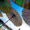 Parasols - ©jeeheon